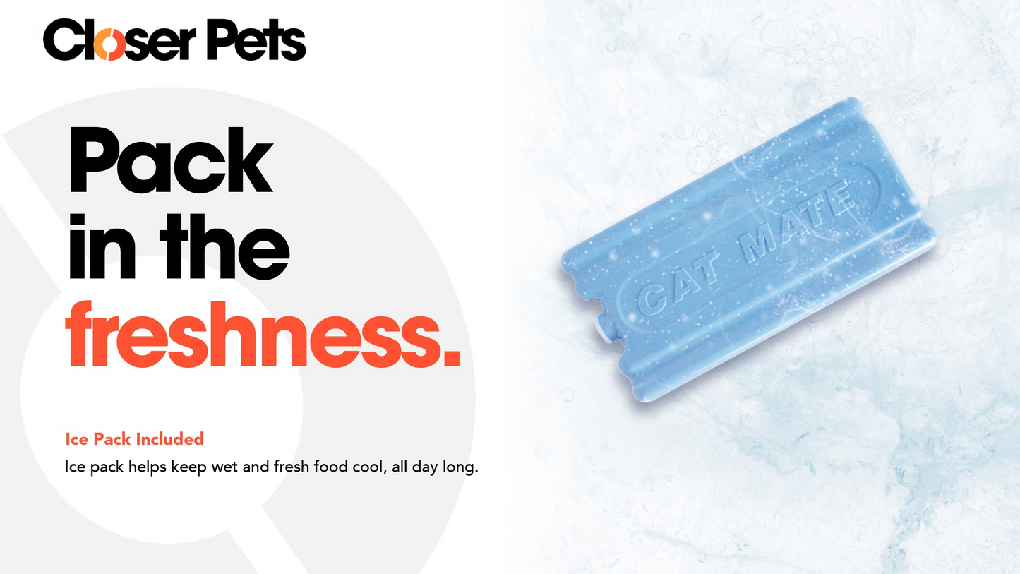 Two-Meal Automatic Pet Feeder with Stainless Steel Bowl Inserts (C200)