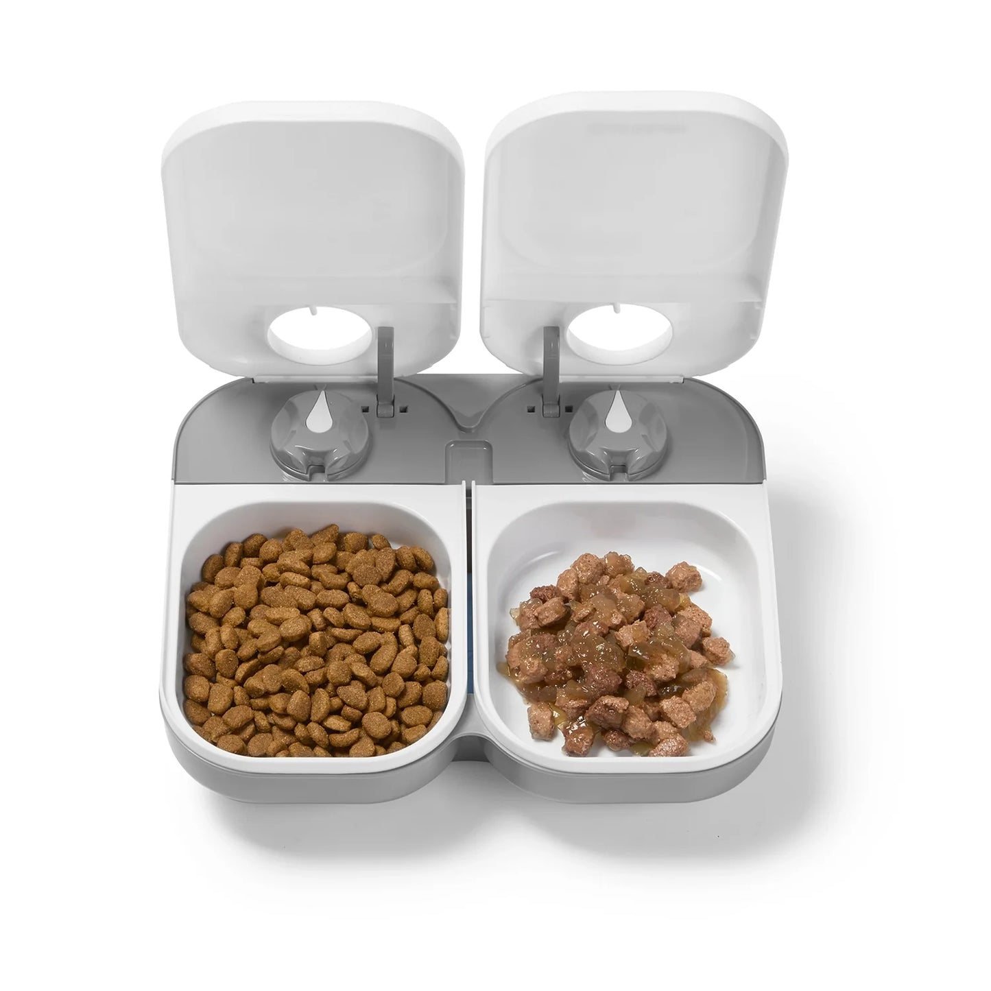 Two-meal Automatic Pet Feeder (C200)