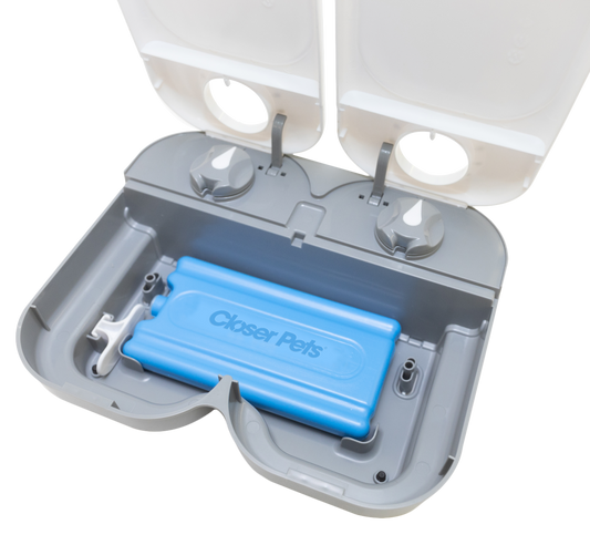 Two-meal Automatic Pet Feeder (C200)