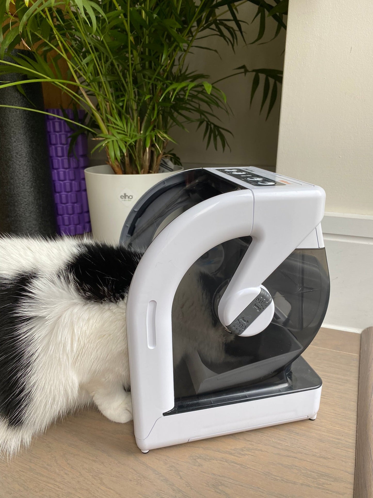 MiBowl Automatic Microchip Pet Feeder (CP500)