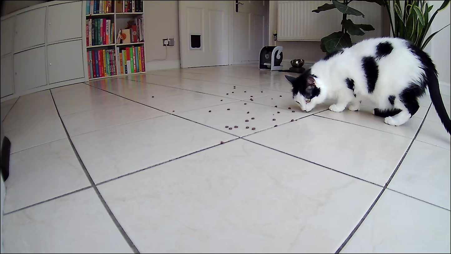 Closer Pets TreatView Pet Camera with Treat Dispenser (iOS/Android Compatible)