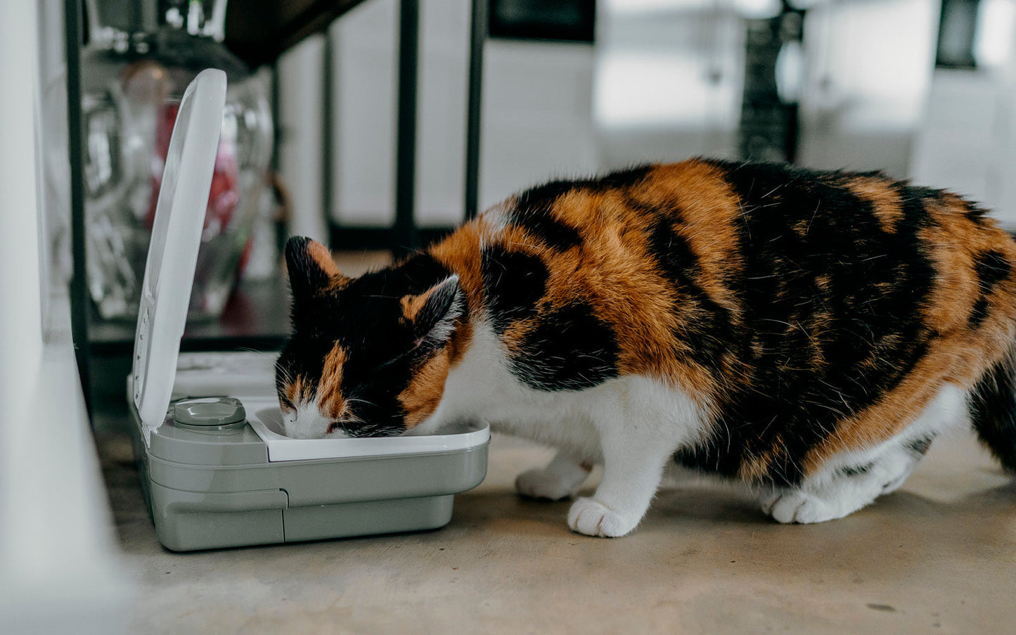Two-meal Automatic Pet Feeder (C200)